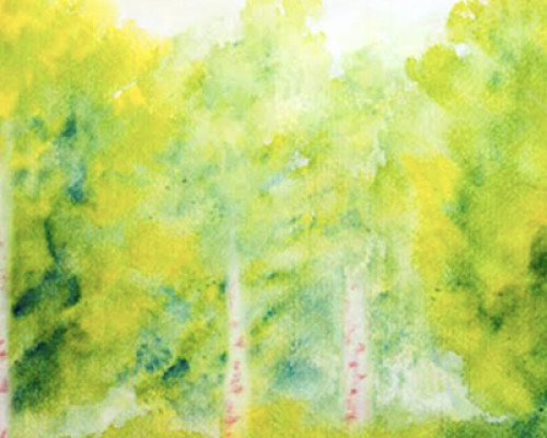 In Natura