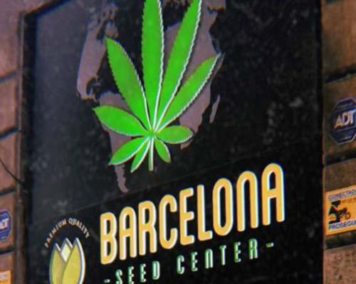 Cannabis Shop?