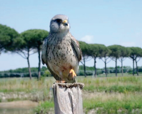 Conferenza  “Quando uomo e natura convivono”