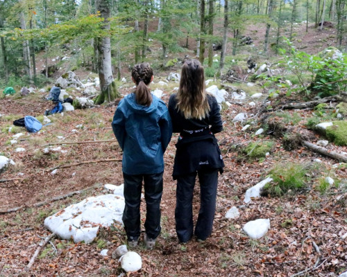 Epoca di forestazione 2021