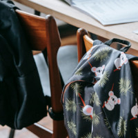 Borse di Studio Scuola Superiore 24-25