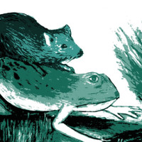Spettacolo teatrale:  La battaglia delle rane e dei topi