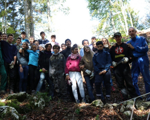 Forestazione IX Classe 2018/19: Il Bosco come comunità di vita
