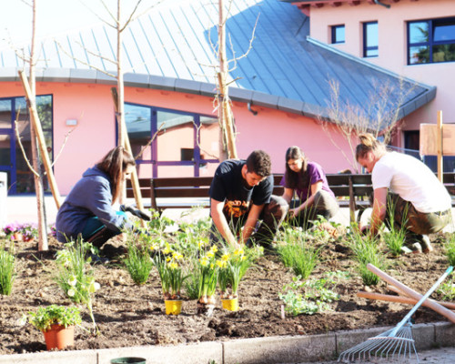 Ma gli alberi con  le melette che fine hanno fatto?