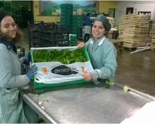 Scuola Superiore: Alternanza Scuola Lavoro