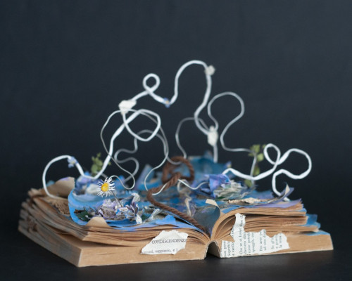 Libri d´artista in classe XI