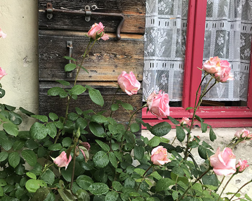La nostra festa di primavera bagnata