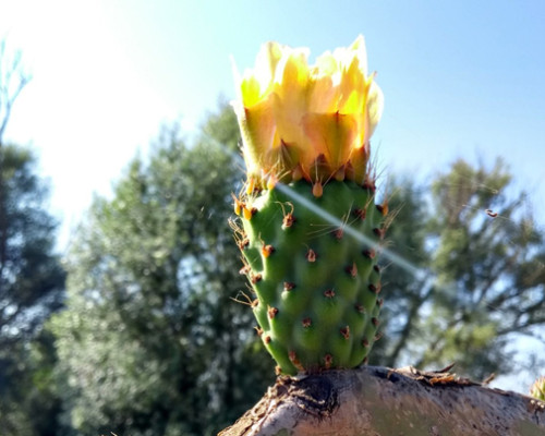 Una malattia vissuta come un traguardo