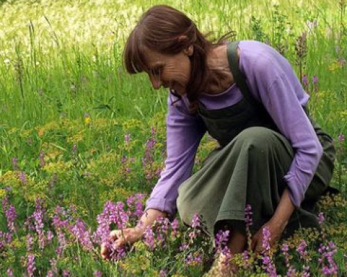 Incontro | I giardini venuti dal vento: chiacchiere di giardinaggio insolito