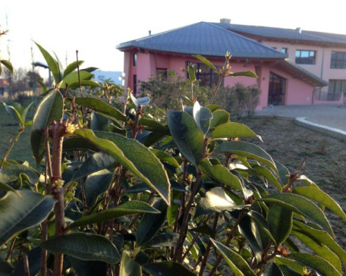 Orto Giardino | I Trigoni
