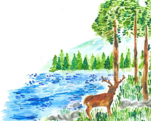 Presentazione dell´esperienza di Forestazione a Caneva