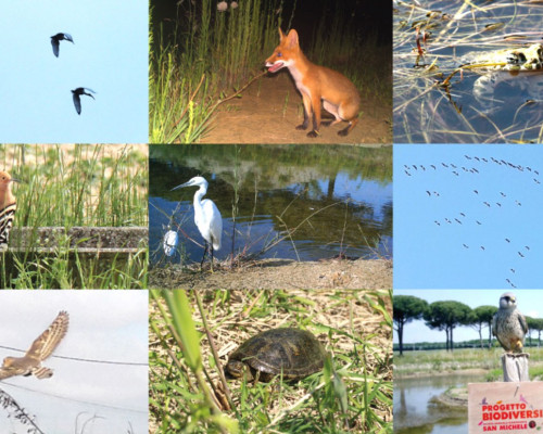 Il Progetto Biodiversità