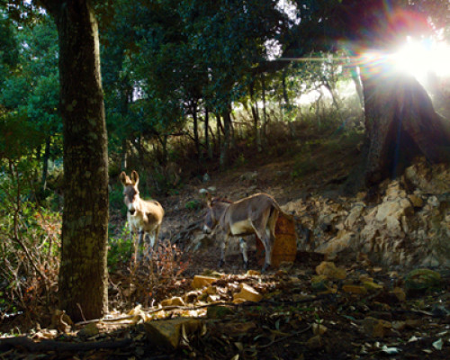 Sardegna, il viaggio di XIII e il concorso fotografico 