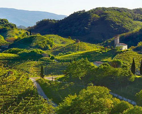 Le Colline del Prosecco sono diventate patrimonio dell´UNESCO