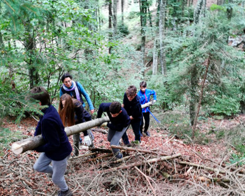L´Epoca di Forestazione 2019/20