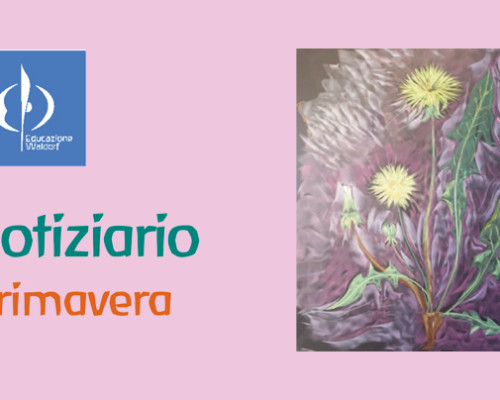 Notiziario N. 29 della Federazione