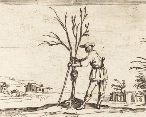 Corso teorico-pratico di potatura alberi da frutto