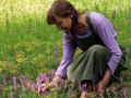 Incontro | I giardini venuti dal vento: chiacchiere di giardinaggio insolito