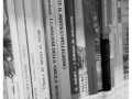 La biblioteca della scuola