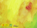 Festa di primavera
