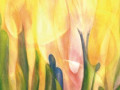 Completamento del ciclo (Scuola superiore IX - XIII)